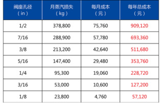 林德偉特為您闡述閥蒸汽泄漏及故障分析