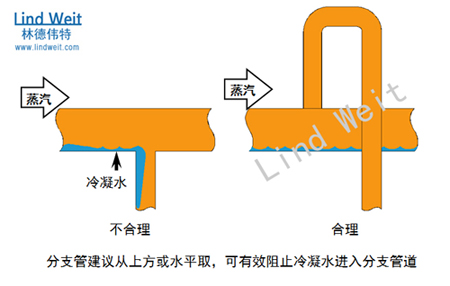 分支管道疏水